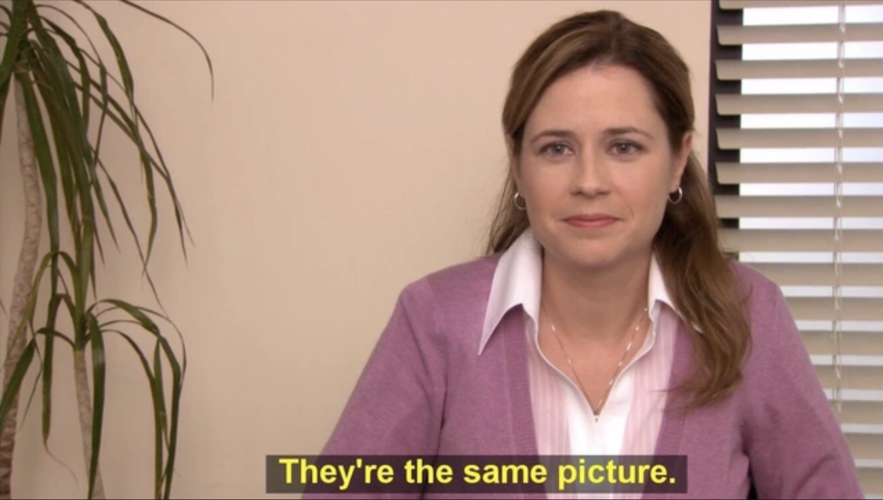 theyre-the-same-picture-pam-the-office-meme.png