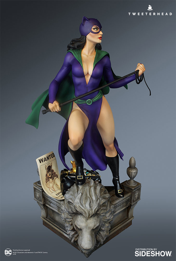 super-powers-catwoman_dc-comics_gallery_5c4c4bc277b7b.jpg